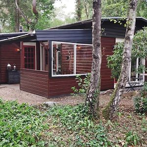 Bosbungalow de Eekhoorn